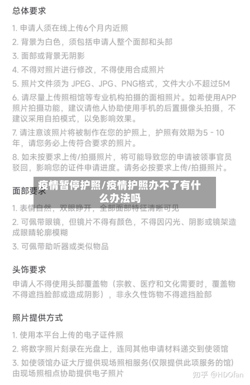 疫情暂停护照/疫情护照办不了有什么办法吗-第2张图片