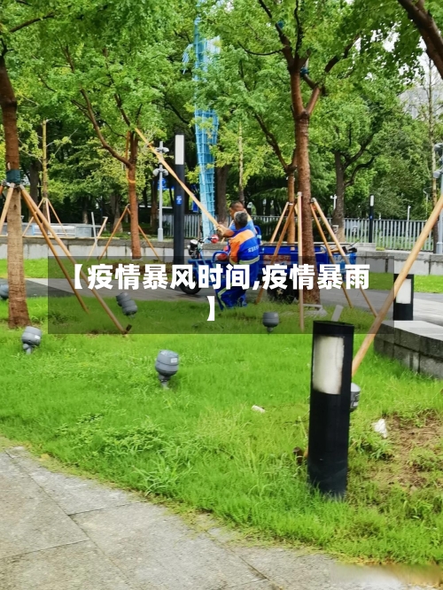 【疫情暴风时间,疫情暴雨】-第2张图片
