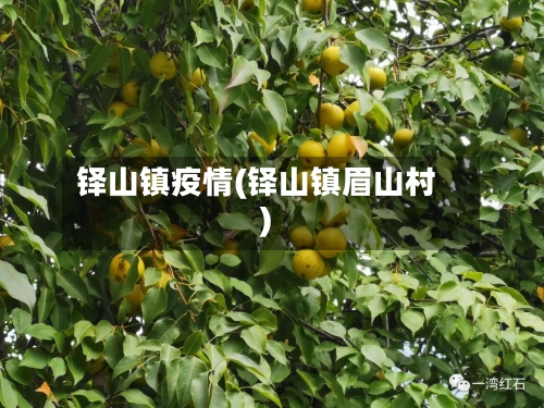 铎山镇疫情(铎山镇眉山村)-第3张图片
