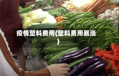 疫情塑料费用(塑料费用暴涨)