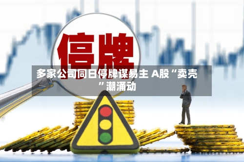 多家公司同日停牌谋易主 A股“卖壳”潮涌动