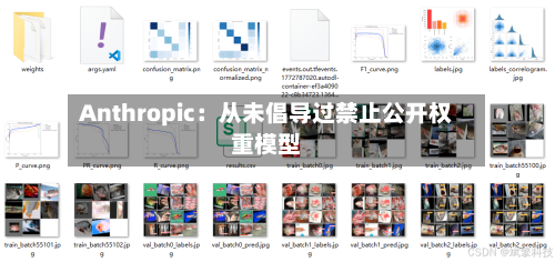 Anthropic：从未倡导过禁止公开权重模型
