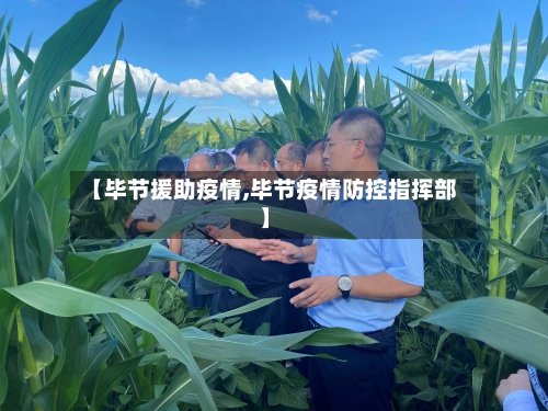 【毕节援助疫情,毕节疫情防控指挥部】-第2张图片