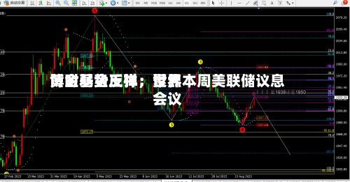 博时基金王祥：世界黄金弱势反弹，聚焦本周美联储议息会议-第2张图片