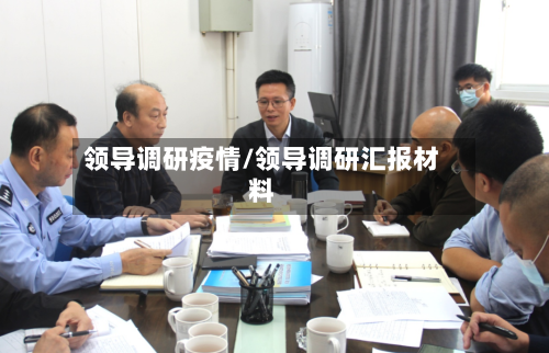 领导调研疫情/领导调研汇报材料