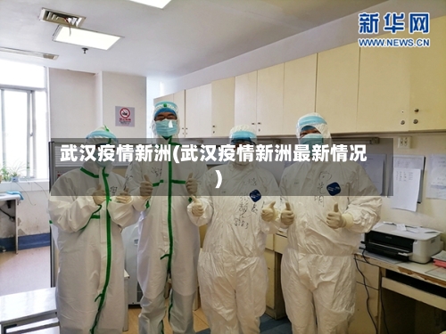 武汉疫情新洲(武汉疫情新洲最新情况)