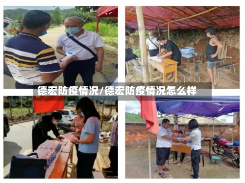 德宏防疫情况/德宏防疫情况怎么样-第2张图片