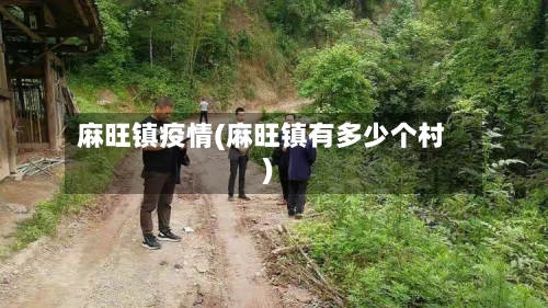麻旺镇疫情(麻旺镇有多少个村)