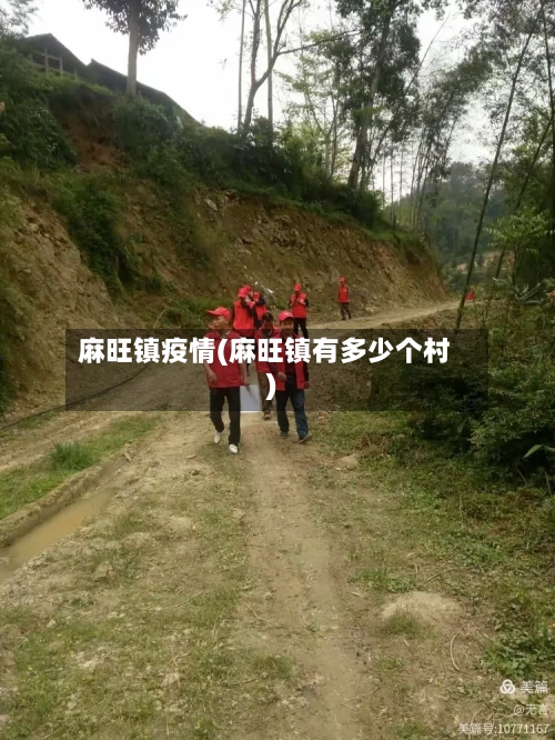 麻旺镇疫情(麻旺镇有多少个村)-第3张图片