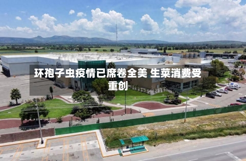 环孢子虫疫情已席卷全美 生菜消费受重创