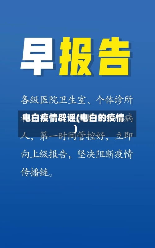 电白疫情辟谣(电白的疫情)