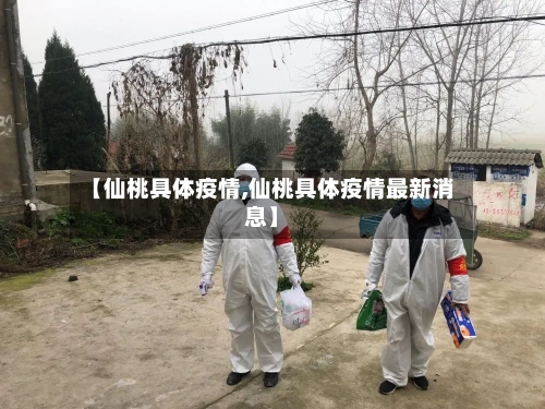 【仙桃具体疫情,仙桃具体疫情最新消息】-第2张图片