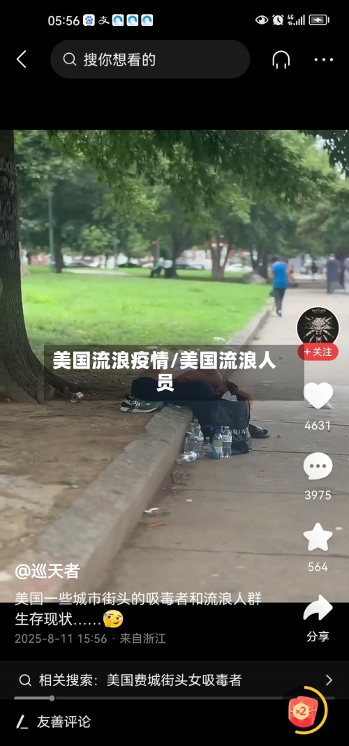 美国流浪疫情/美国流浪人员-第3张图片