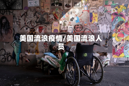 美国流浪疫情/美国流浪人员