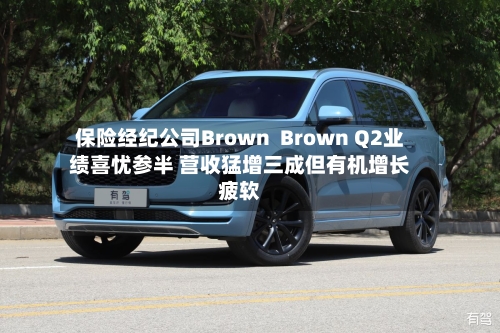 保险经纪公司Brown  Brown Q2业绩喜忧参半 营收猛增三成但有机增长疲软