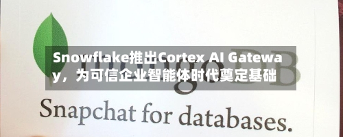 Snowflake推出Cortex AI Gateway，为可信企业智能体时代奠定基础-第2张图片