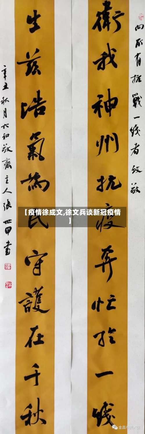 【疫情徐成文,徐文兵谈新冠疫情】