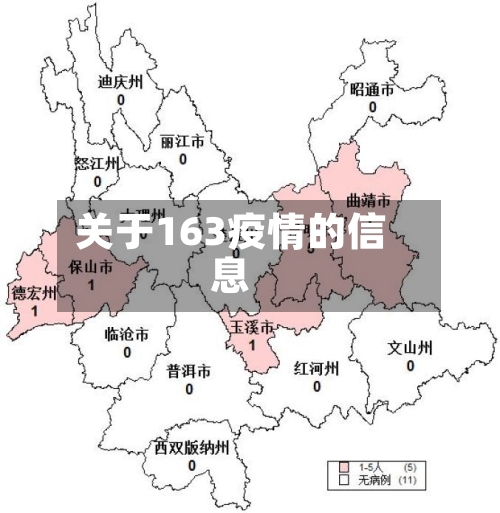 关于163疫情的信息-第2张图片