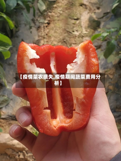 【疫情菜农损失,疫情期间蔬菜费用分析】-第3张图片