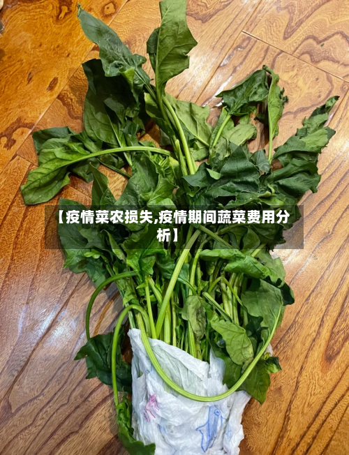 【疫情菜农损失,疫情期间蔬菜费用分析】