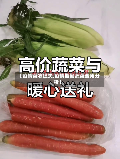 【疫情菜农损失,疫情期间蔬菜费用分析】-第2张图片