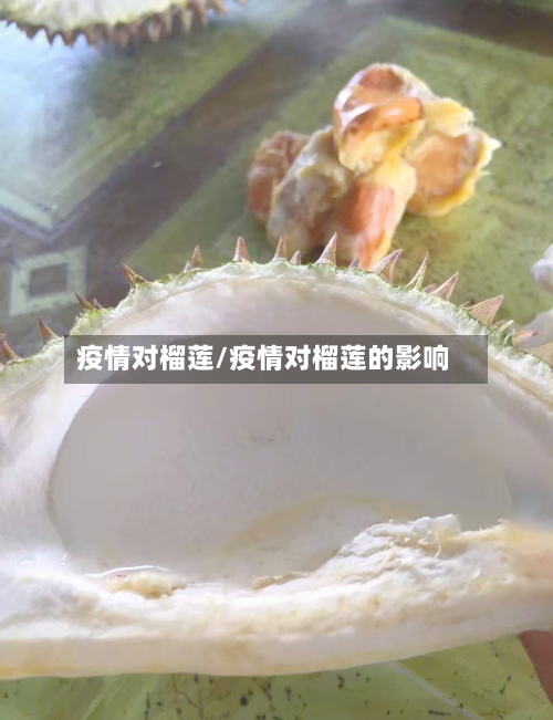 疫情对榴莲/疫情对榴莲的影响