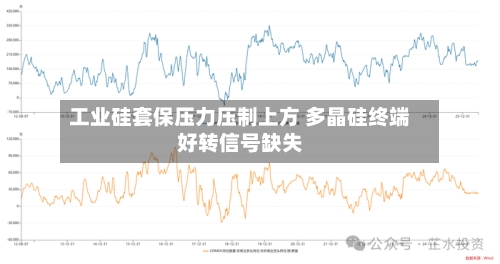 工业硅套保压力压制上方 多晶硅终端好转信号缺失