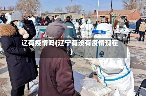 辽有疫情吗(辽宁有没有疫情现在)