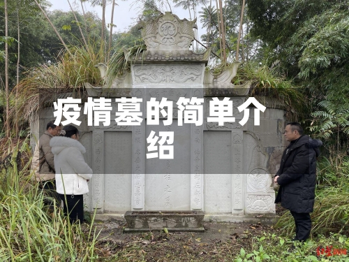 疫情墓的简单介绍-第2张图片