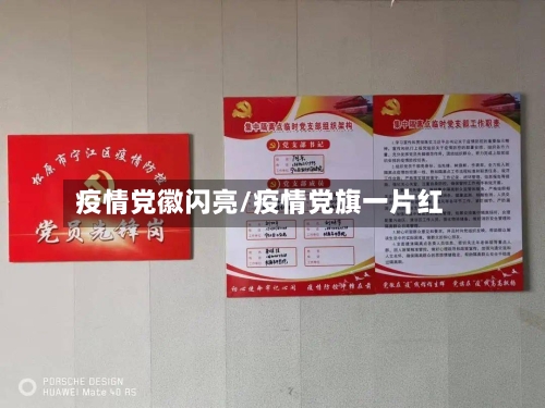 疫情党徽闪亮/疫情党旗一片红-第2张图片