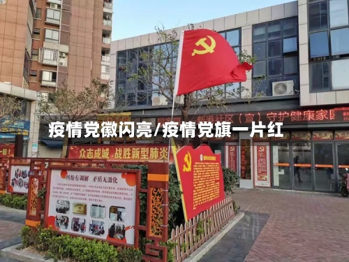 疫情党徽闪亮/疫情党旗一片红
