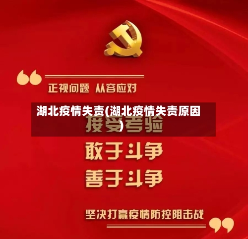 湖北疫情失责(湖北疫情失责原因)