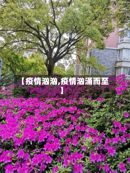 【疫情汹汹,疫情汹涌而至】-第2张图片