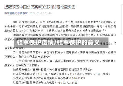 领事保护疫情/领事保护的意义-第2张图片