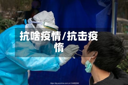 抗啥疫情/抗击疫惰