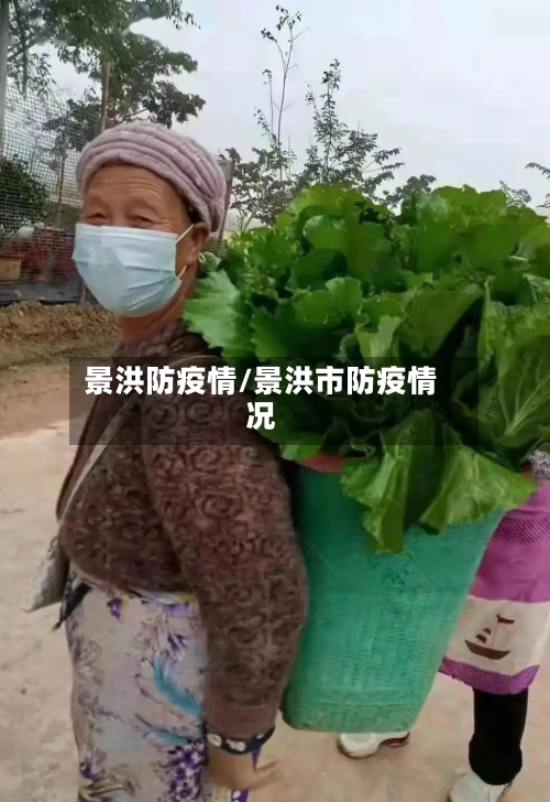 景洪防疫情/景洪市防疫情况