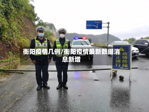 衡阳疫情几例/衡阳疫情最新数据消息新增