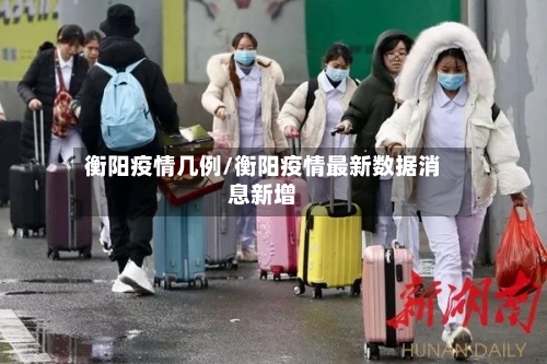 衡阳疫情几例/衡阳疫情最新数据消息新增-第3张图片