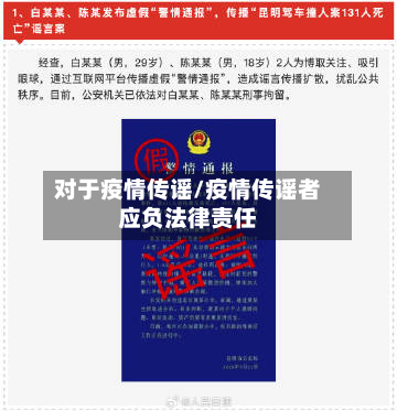 对于疫情传谣/疫情传谣者应负法律责任-第3张图片