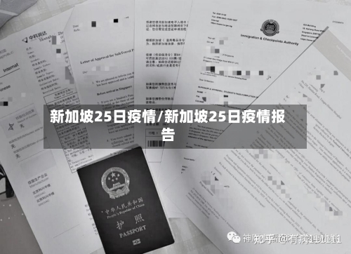 新加坡25日疫情/新加坡25日疫情报告-第2张图片