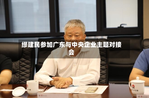 缪建民参加广东与中央企业主题对接会