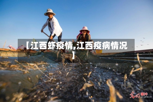 【江西虾疫情,江西疫病情况】