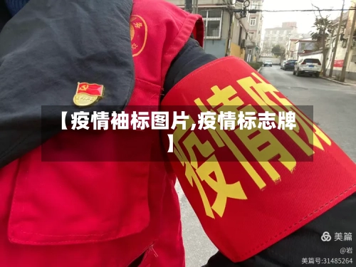 【疫情袖标图片,疫情标志牌】-第2张图片