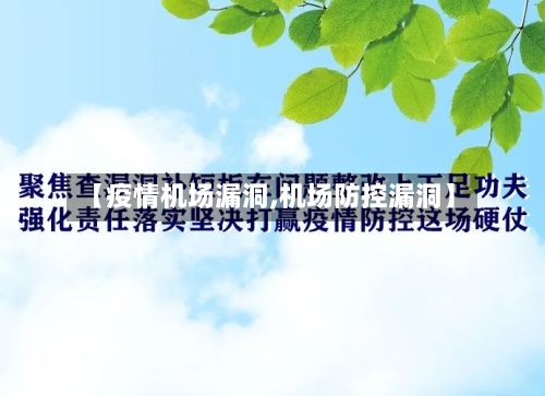 【疫情机场漏洞,机场防控漏洞】-第3张图片