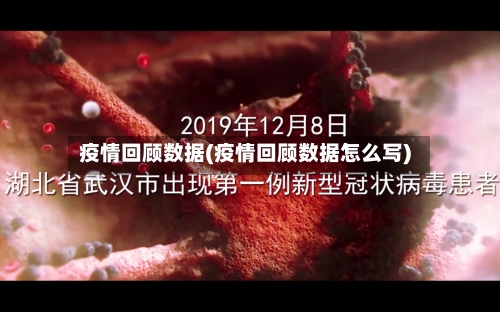 疫情回顾数据(疫情回顾数据怎么写)
