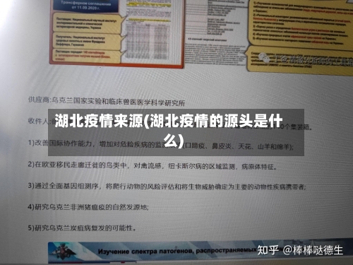 湖北疫情来源(湖北疫情的源头是什么)-第2张图片