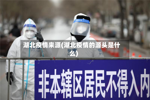 湖北疫情来源(湖北疫情的源头是什么)