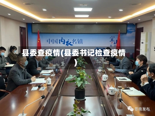 县委查疫情(县委书记检查疫情)-第3张图片