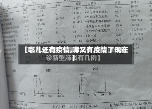 【哪儿还有疫情,哪又有疫情了现在】-第3张图片