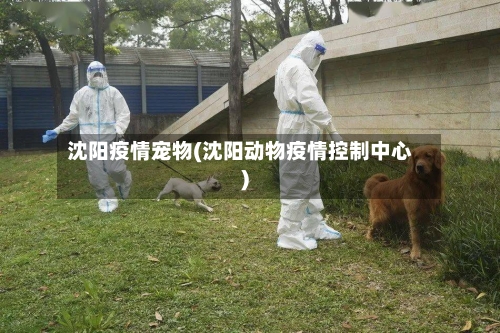 沈阳疫情宠物(沈阳动物疫情控制中心)